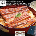 ギフト セット うなぎ 蒲焼き特特大国産うなぎ蒲焼き 170g×5本セット誕生日 お祝い お礼 内祝い 退職祝い 贈答 ギフト プレゼント 高級 グルメ 食品 ...