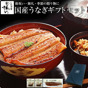 ギフト 国産うなぎギフトセット[超特大うなぎ蒲焼き1本・きざみうなぎ2食 山椒別売]誕生日 お祝い お礼 内祝い 退職祝い ギフト プレゼント グルメ 国産 国内産 うなぎ ウナギ 鰻 お中元 あす楽対応[MP][gf]