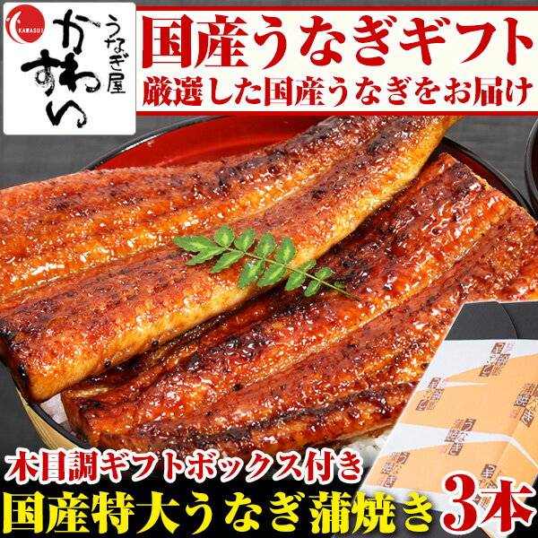 ＼季節のご挨拶やお祝いに／ギフト 国産特大うなぎ蒲焼き 170g×3本セット 送料無料 国産 ウナギ 鰻 老舗 海鮮 ギフト 結婚祝い 内祝い 誕生日 贈り物 誕生日プレゼント 父 母 高級 魚介 父の日