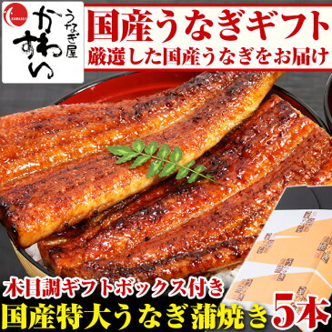 ＼季節のご挨拶やお祝いに／ギフト 国産特大うなぎ蒲焼き 170g×5本セット 送料無料 老舗 国産 内祝い お礼 お祝い お返し 高級 魚介 父の日