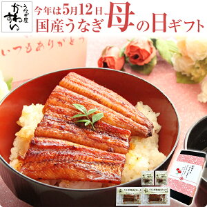 [ギフト セット]国産うなぎ蒲焼きカット4枚200g・本格肝吸い2食 山椒別売誕生日 お祝い お礼 内祝い 退職祝い 贈答 お歳暮 歳暮 お年賀 高級 グルメ 食品 食べ物 国産 うなぎ ウナギ 鰻 上司 親戚 取引先 定番 送料無料