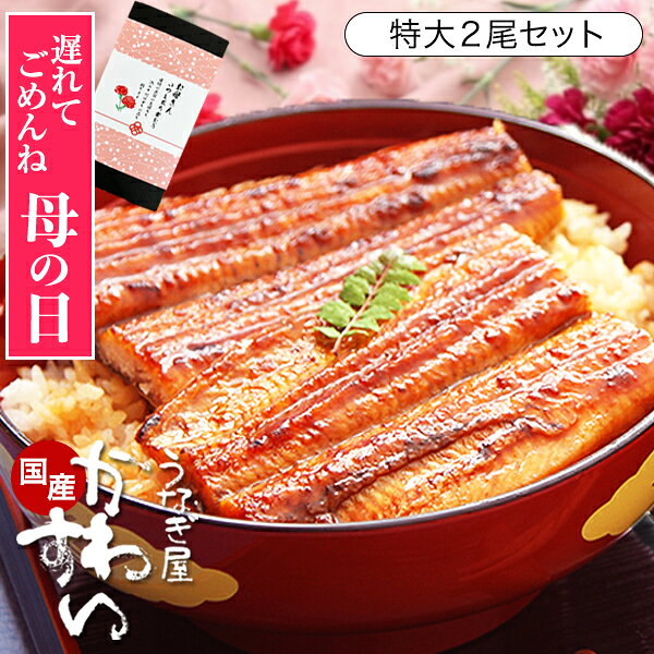 樂天商城 - 遅れてごめんね 母の日 ギフト うなぎ ギフト 国産 かわすい ＼楽天1位の極上鰻／ 冷凍 送料無料 特大 うなぎ蒲焼き 170g×2本 【うなぎ屋かわすい】 2尾 グルメ ウナギ 鰻 蒲焼き 内祝い お返し 誕生日プレゼント 食べ物 喜ばれる 贈答 高級