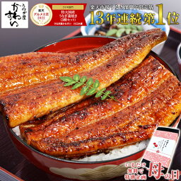 蒲焼き [楽天うなぎ部門13年連続売れ筋第1位]国産うなぎ蒲焼き3種セット母の日 誕生日 お祝い 内祝 お返し 食べ物 グルメ 国産 うなぎ ウナギ 鰻 蒲焼き ギフト プレゼント