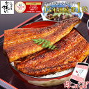 母の日ギフト仕様もご用意！[楽天