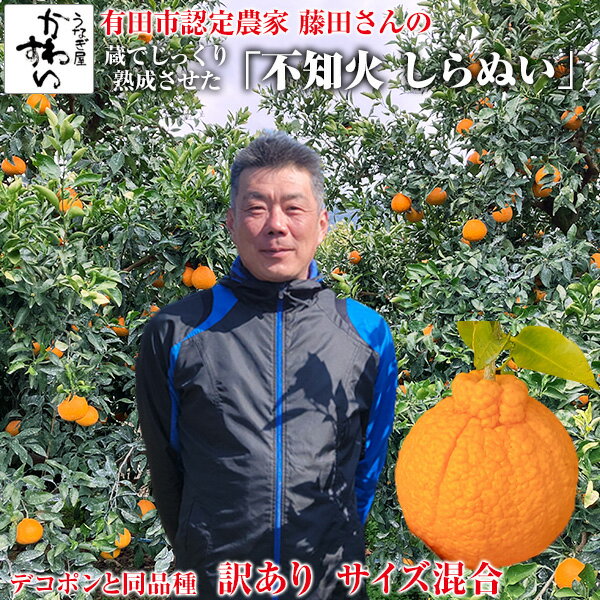 楽天市場】不知火 3年の通販 楽天市場】不知火 3年の通販