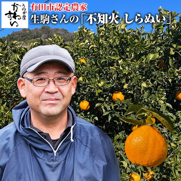 [4月11日14時に販売終了][収穫次第順次発送]生駒さんの不知火 訳あり 5キロ[サイズ混合 M～3L]しらぬい デコポンと同品種 有田みかん 和歌山 ミカン 蜜柑 みかん 有田市認定みかん農家 柑橘 しらぬひのサムネイル