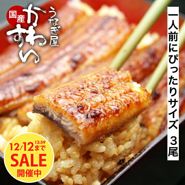 ＼タイムセール／ うなぎ 国産 かわすい うなぎ蒲焼き 送料無料 120g×3本 【うなぎ屋かわすい】 グルメ..
