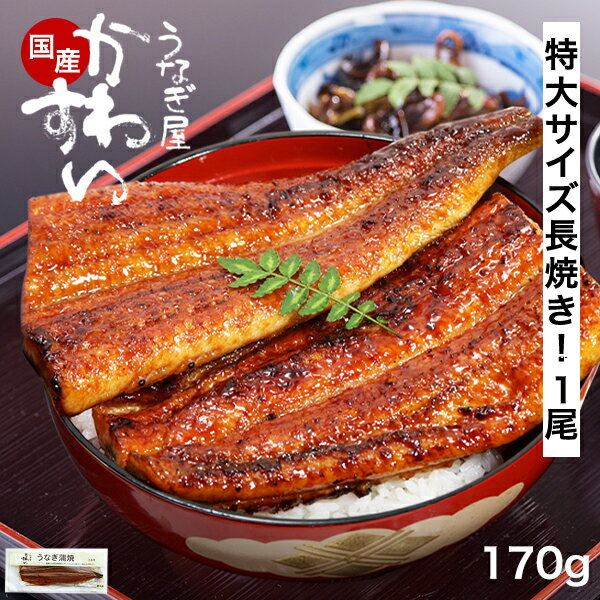 うなぎ 国産 かわすい ＼楽天1位の極上鰻／ 冷凍 特大 うなぎ蒲焼き 170g×1本 【うなぎ屋かわすい】 グ..