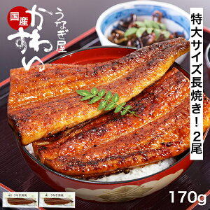 うなぎ 国産 かわすい \楽天1位の極上鰻/ 冷凍 送料無料 特大 うなぎ蒲焼き 170g×2本 【うなぎ屋かわすい】 グルメ ウナギ 2尾 鰻 蒲焼き ひつまぶし うな丼 土用の丑の日 内祝い お返し 誕生日プレゼント 土用丑 土用の丑の日 食べ物 喜ばれる 贈答 ギフト 秋グルメ