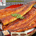 [お歳暮 ギフト]特大国産うなぎ蒲焼き 170g×2本セット[国産 うなぎ ウナギ 鰻 国内産][御歳暮 冬ギフト グルメ 食べ物 誕生日 プレゼント][MP][gf][あす楽]