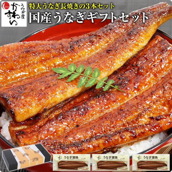 [ギフト]特大国産うなぎ蒲焼き 170g×3本セット[国産 うなぎ ウナギ 鰻 国内産][グルメ 食べ物 誕生日 プレゼント お祝い お礼 お返し 父の日 母の日 内祝い 退職祝い][MP][gf][あす楽]