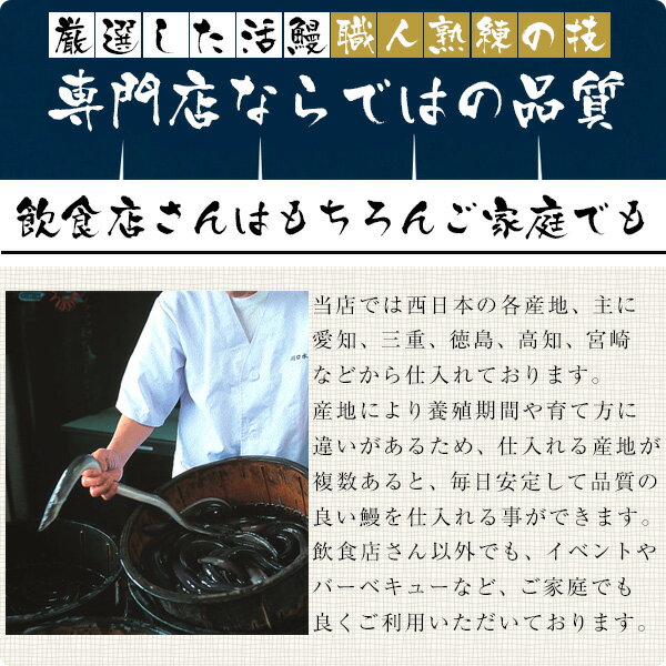 [捌いたままの生のうなぎ]捌いた国産うなぎ 大サイズ4本[4P 1kg]送料無料 BBQ ウナギ 鰻 生 調理済み ひらき 業務用 腹開き キャンプ[MP] 2