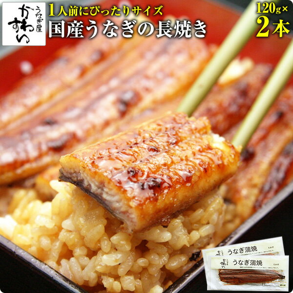 [1人前にぴったりサイズ]国産うなぎ蒲焼き120g×2本ウナギ 鰻 蒲焼き 蒲焼 国内産 夏の土用丑 土用の丑の日 冷凍食品 …