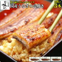 国産うなぎ蒲焼き120g×3本 ウナギ 鰻 蒲焼き 蒲焼 国内産 夏の土用丑 土用の丑の日 冷凍食品 ひつまぶし ちらし寿司 うなぎ 国産 3尾