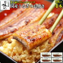 [1人前にぴったりサイズ]国産うなぎ蒲焼き120g×4本 ウナギ 鰻 蒲焼き 蒲焼 国産 国内産 夏の土用丑 土用の丑の日 冷…