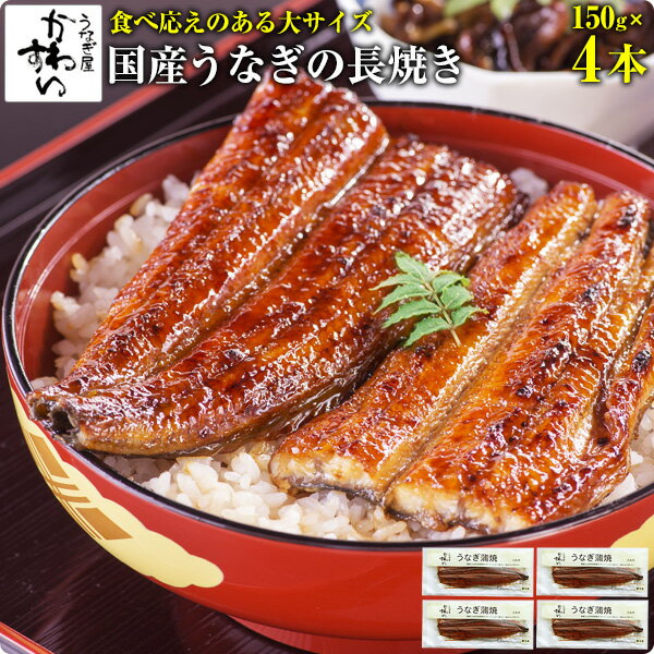 お中元 国産 うなぎ蒲焼き 150g×4本 