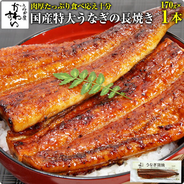 [自慢の特大サイズ]国産特大うなぎ蒲焼き 170g×1本 ウナギ 鰻 蒲焼き 蒲焼 国産 国内産 夏の土用丑 土用の丑の日 冷…