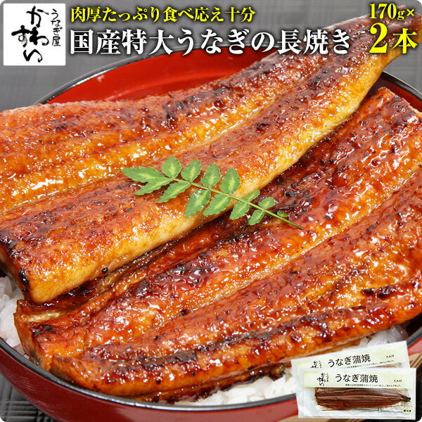 国産特大うなぎ蒲焼き 170g×2本 ウナギ 鰻 蒲焼き 蒲焼 国内産 夏の土用丑 土用の丑の日 冷凍食品 ひつまぶし うなぎ 国産 2尾 送料無料 自慢の特大サイズ