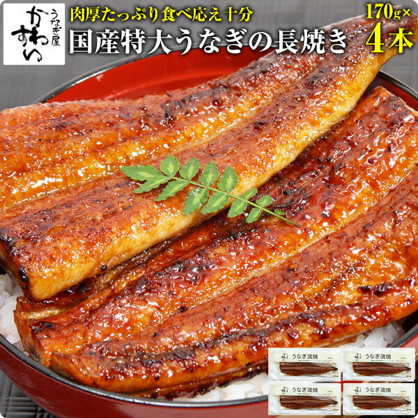 [自慢の特大サイズ]国産特大うなぎ蒲焼き 170g×4本[送料無料][山椒別売]ウナギ 鰻 蒲焼き 蒲焼 国産 国内産 夏の土用丑 土用の丑の日 冷凍食品 ひつまぶし ちらし寿司[MP]のサムネイル