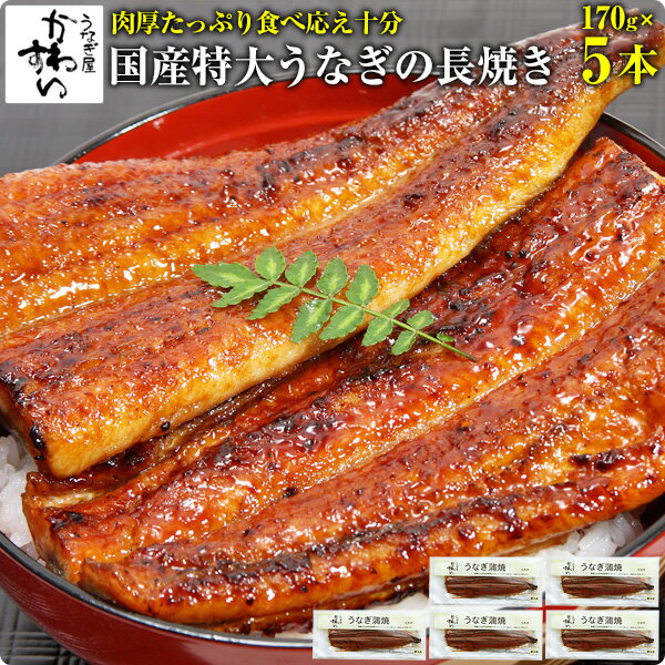 国産特大うなぎ蒲焼き 170g×5本 ウナ