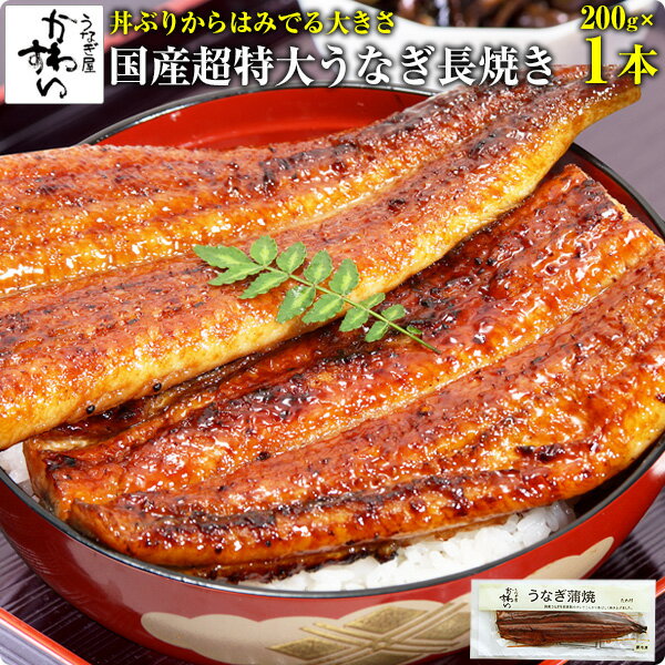 [丼からはみ出る超特大サイズ]国産超特大うなぎ蒲焼き 200g×1本[山椒別売]ウナギ 鰻 蒲焼き 蒲焼 国産 国内産 夏の土…