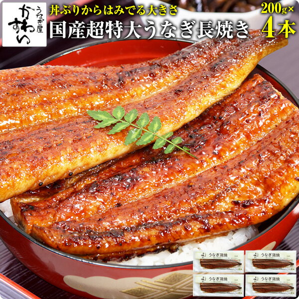 国産超特大うなぎ蒲焼き 200g×4本 ウナギ 鰻 蒲焼き 蒲焼 国産 国内産 土用丑 土用の丑の日 冷凍食品 ひつまぶし ちらし寿司 送料無料のサムネイル