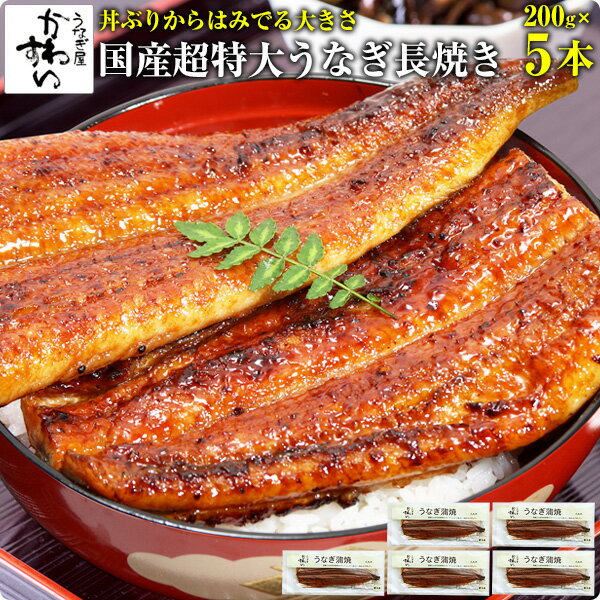 国産超特大うなぎ蒲焼き 200g×5本[山椒別売]ウナギ 鰻 ...