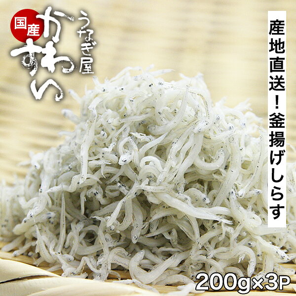 和歌山県産 釜上げしらす 200g×3パック[送料無料]シラス 釜茹で 国内産[MP][魚介・特産]