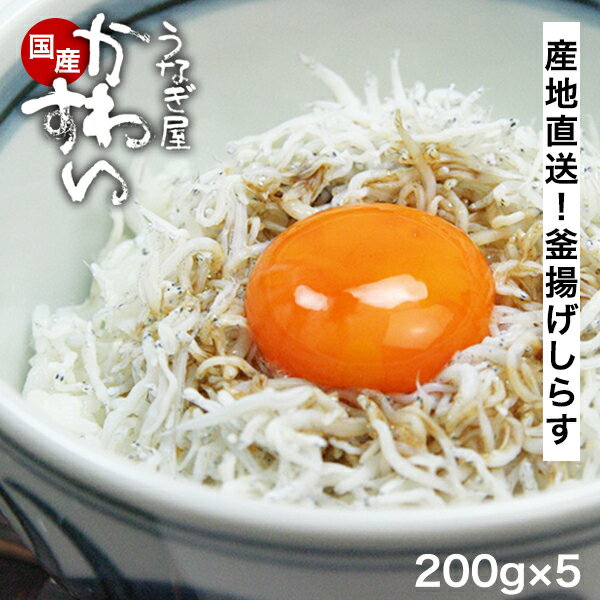 和歌山県産 釜上げしらす 200g×5パック うなぎ屋かわすい シラス 釜茹で 国内産 小分け 個別 しらす お中元 夏ギフト 食べ物 喜ばれる ..