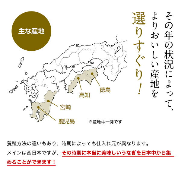 送料無料国産国内産うなぎ蒲焼き大サイズギフトプレゼント贈り物