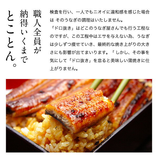 送料無料国産うなぎ蒲焼きお中元