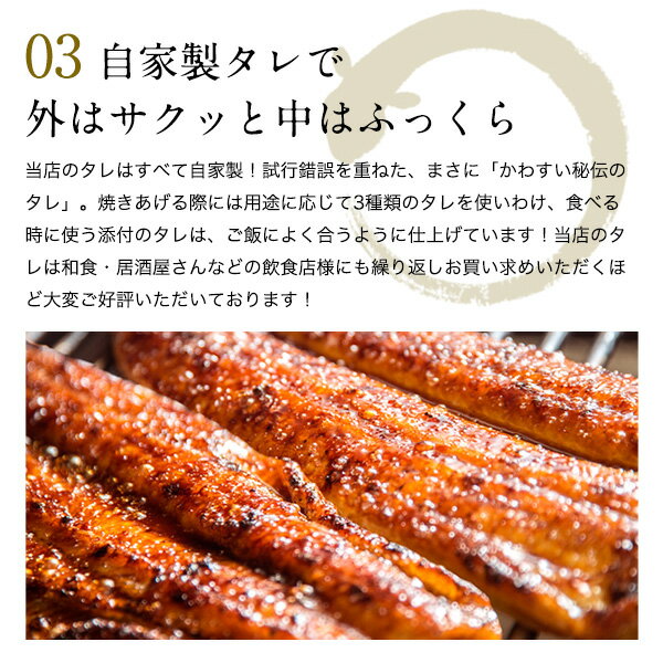 送料無料国産国内産うなぎ蒲焼き大サイズギフトプレゼント贈り物