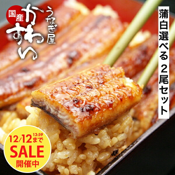 ＼タイムセール／ うなぎ 国産 かわすい 冷凍 うなぎ蒲焼き 選べる 2尾セット 蒲焼き 白焼き 120g ウナ..