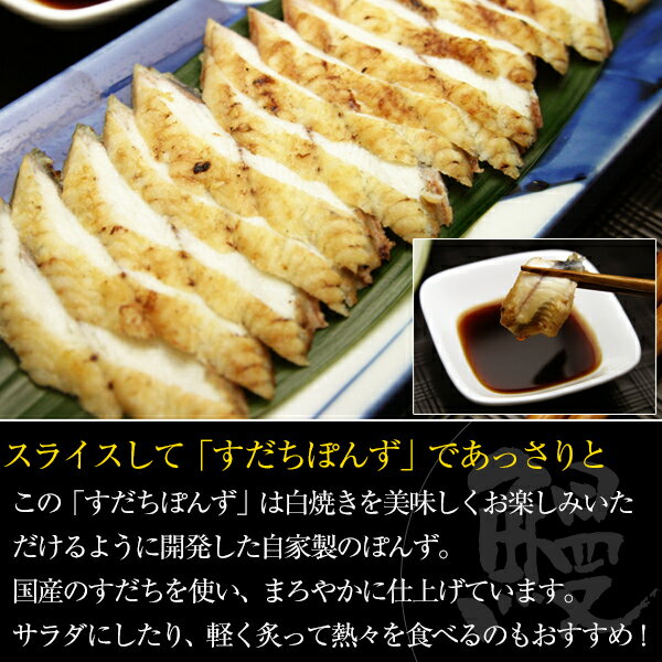 ���ʤ� ��Ƥ� �� ���魯�� ������Ź�ʤ�ǤϤΰ��ʡ� �񻺤��ʤ� ��Ƥ� �������ݤ��� 120g �ڤ��ʤ������魯���� ���ʥ� �� ���Ƥ� ����� ����ʪ ���⻺ ���� ���Ĥޤ� ���ե� �������ץ쥼��� ��� ���֤� £�� Ʊ��