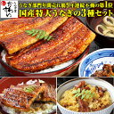 \当店一番人気/特大国産うなぎ蒲焼き3種セット[送料無料 う...