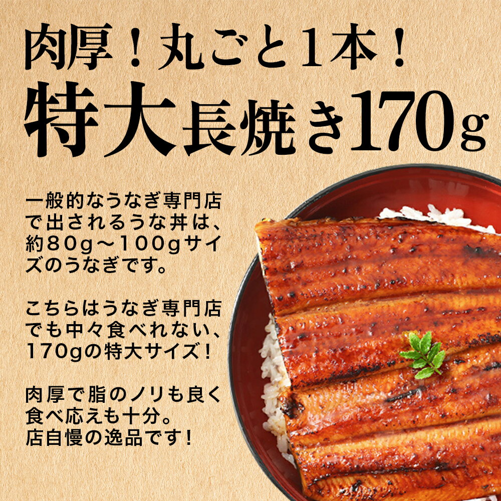 うなぎ 国産 かわすい ＼楽天1位の極上鰻／ 冷凍 送料無料 特大 うなぎ蒲焼き 170g×3本 【うなぎ屋かわすい】 グルメ ウナギ 鰻 蒲焼き ひつまぶし うな丼 土用の丑の日 内祝い お返し 誕生日プレゼント 土用丑 食べ物 喜ばれる 贈答 ギフト