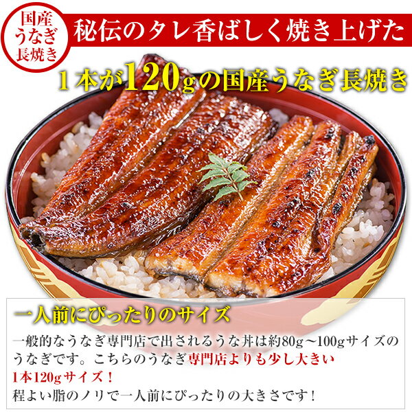 中身が選べる国産うなぎの2種お試しセット[山椒別売] 送料無料 うなぎ ウナギ 鰻 蒲焼き 国内産 国産 土用の丑の日 お中元 ギフト 冷凍食品[MP]