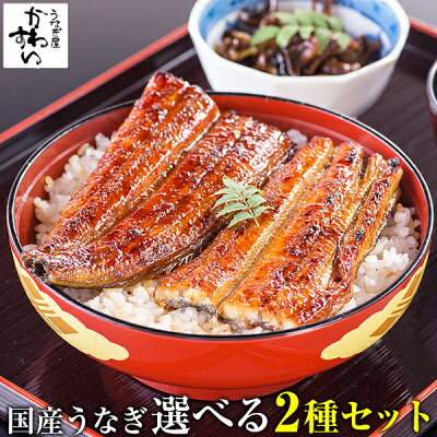 遅れてごめんね 敬老の日 ギフト 国産うなぎ 選べる2種セットうなぎ ウナギ 鰻 蒲焼き 国内産 国産 土用の丑の日 ギフト お祝い 内祝い 冷凍食品 土用丑 土用の丑の日