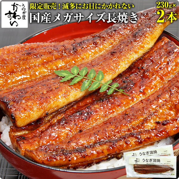 [決算感謝祭限定販売]国産うなぎ蒲焼きメガサイズ 230g×2本うなぎ ウナギ 鰻 蒲焼き 国内産 国産うなぎ 土用丑の日 冷凍食品 ひつまぶし ちらし寿司 誕生日 お祝い 快気祝い お返し 退職祝い 定年 退職 プレゼント ギフト グルメ 食べ物 2尾[MP]のサムネイル
