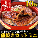 国産うなぎ蒲焼きカットミニ×10枚セット 300g【数量限定】【ウナギ 鰻 蒲焼き 国産 小さめ】 - うなぎ屋かわすい 川口水産