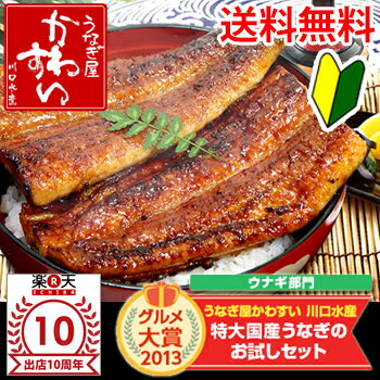 4年連続グルメ大賞受賞！【ウナギ 鰻 蒲焼き お中元 土用の丑の日】【7月29日は土用丑の日 初回限定】特大国産うなぎのお試しセット【送料無料】【ウナギ 鰻 蒲焼き お中元 土用の丑の日】