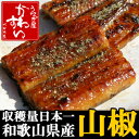 【うなぎ】の川水!和歌山産!山椒(さんしょう)