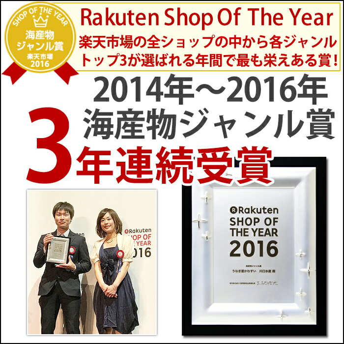 ＼季節のご挨拶やお祝いに／ギフト 国産特大うなぎ蒲焼き 170g×5本セット 送料無料 老舗 国産 内祝い お礼 お祝い お返し 高級 魚介 父の日