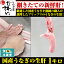 国産うなぎの生肝1キロ【送料別 冷蔵便】【業務用 国内産 店舗用 卸売】