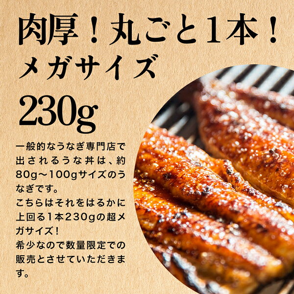 ＼メガサイズ限定販売／ うなぎ 国産 かわすい 冷凍 うなぎ蒲焼き メガサイズ 230g×1本 【うなぎ屋かわすい】 ウナギ 鰻 蒲焼き ひつまぶし 土用丑の日 土用丑 グルメ 食べ物 特大 超特大 大きいサイズ 誕生日プレゼント 内祝い お返し kawasui-10000478 うなぎ屋かわすい サンプル画像2