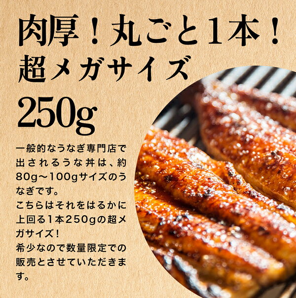 ＼大きい！超メガサイズ／ 400本限定 うなぎ 国産 かわすい 冷凍 うなぎ蒲焼き 超メガサイズ 250g×1本 【うなぎ屋かわすい】 ウナギ 鰻 蒲焼き ひつまぶし 土用丑の日 土用丑 グルメ 食べ物 特大 超特大 大きいサイズ 誕生日プレゼント 内祝い お返し セール kawasui-10000479 うなぎ屋かわすい サンプル画像2