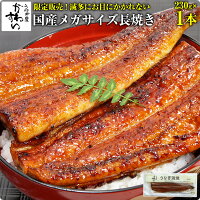 [GW企画！300本限定販売]国産メガサイズうなぎ蒲焼き 230g×1本うなぎ ウナギ 鰻 国...