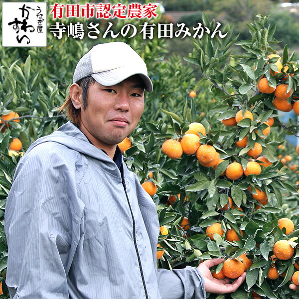 [有田みかん 収穫次第順次発送]寺嶋さんの有田みかん みかん和歌山 ミカン 蜜柑 みかん 有田ミカン 3kg 3キロ 5kg 5キロ訳あり 有田市認定農家のサムネイル