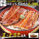 \土用丑タイムセール!大特価 5350円/ お中元 うなぎ 国産 送料無料 蒲焼き 2尾 300g うなぎ屋かわすい グルメ 夏ギフト 鰻 ウナギ ひつまぶし ...