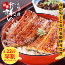 \今がお得!早割/ 新仔 うなぎ 国産 蒲焼き 大サイズ 150g 2〜5本 うなぎ屋かわすい 送料無料 ウナギ 鰻 ひつまぶし うな丼 秋の土用丑 土用丑 秋...
